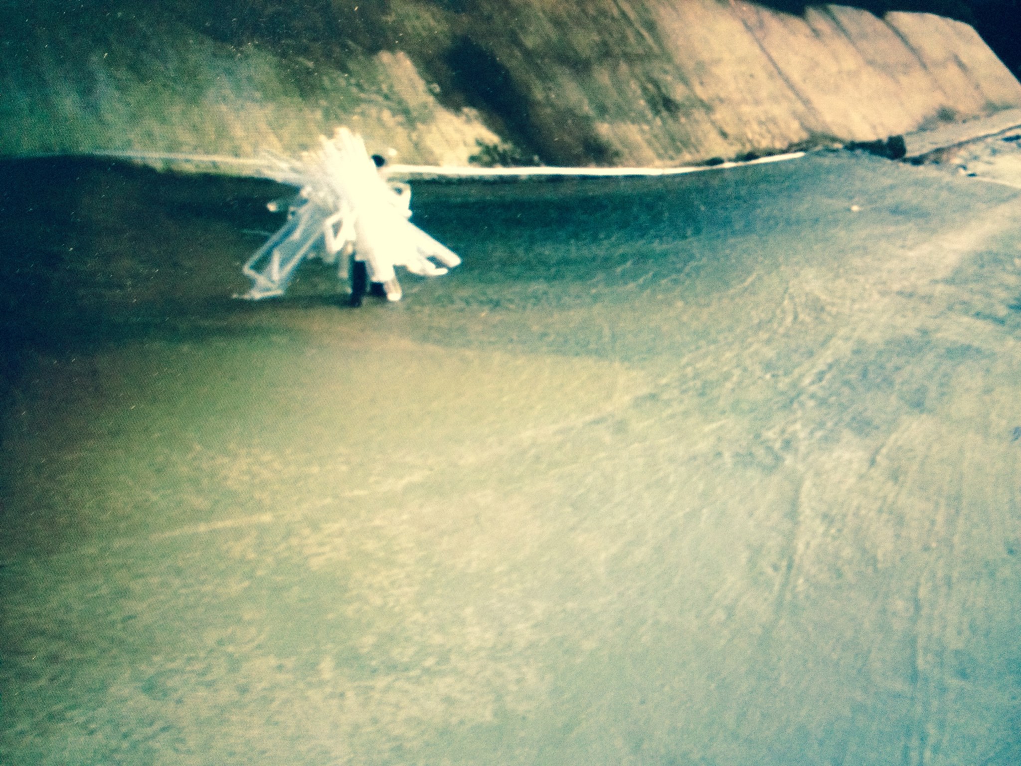 Emerging artists V emerging-artists-v