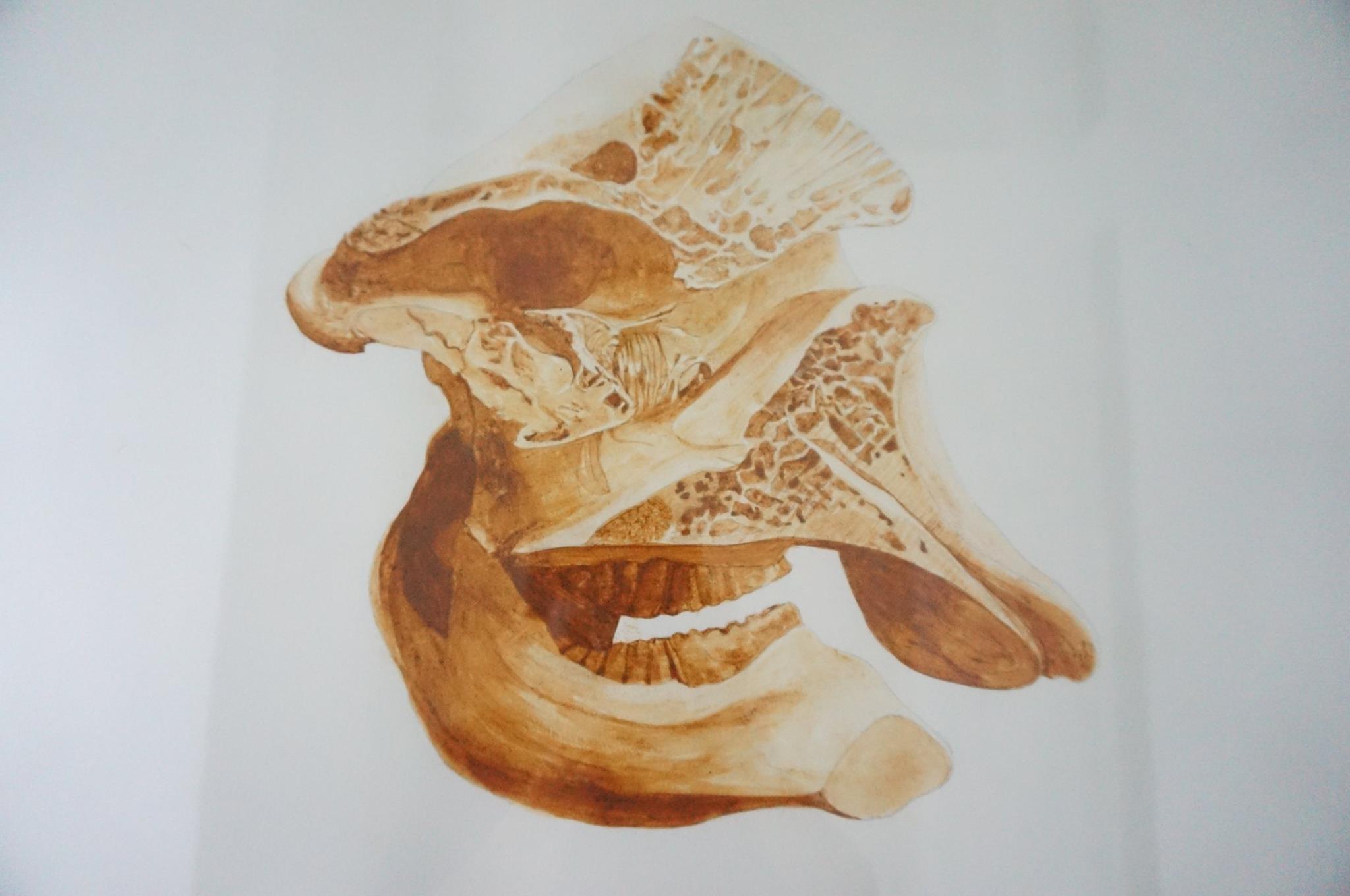 The Last Ride the-last-ride