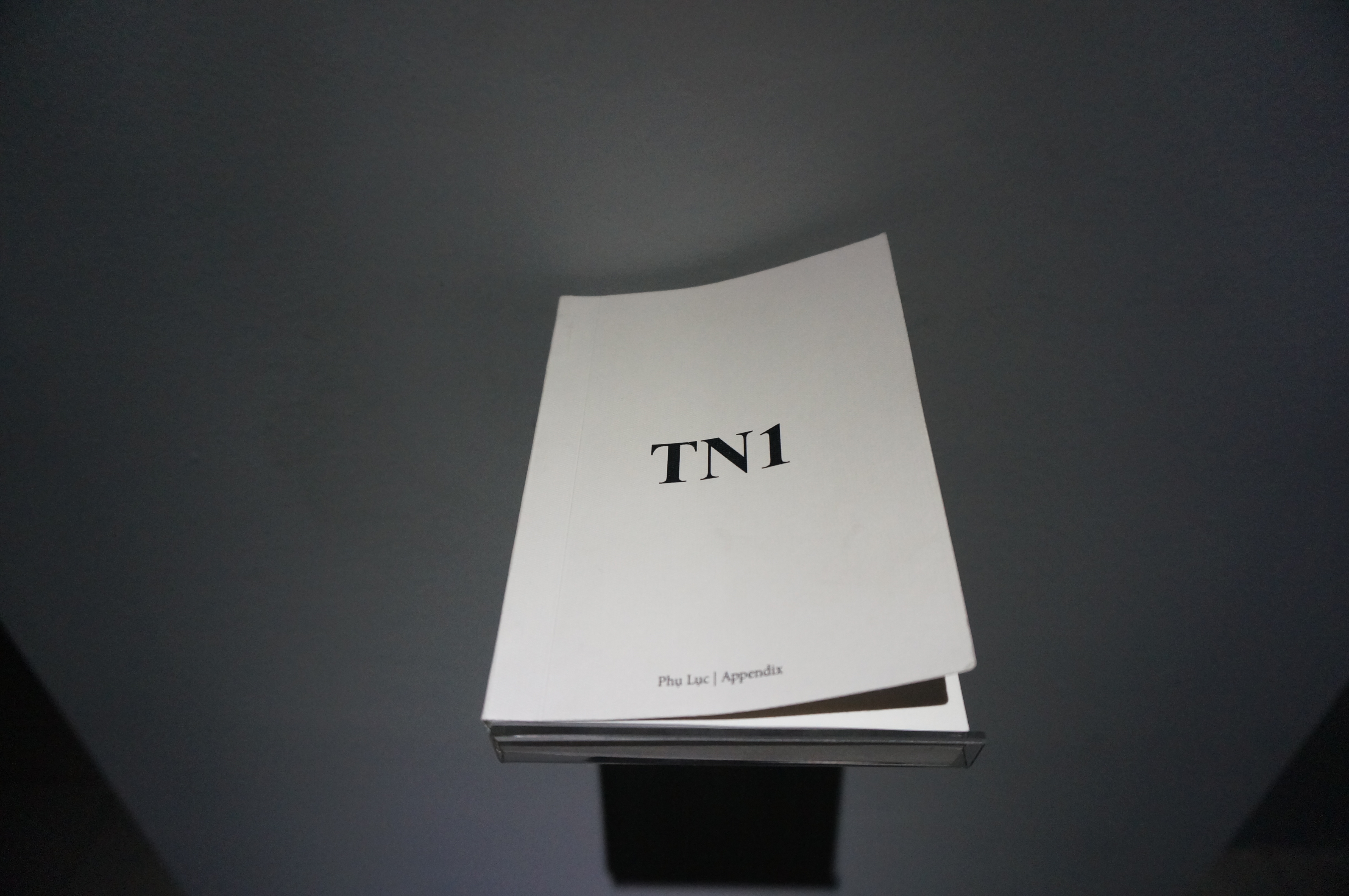 Appendix Group, Nguyen Tran Nam, Nguyen Ban Ga, Nguyen Quoc Thanh appendix-group-nguyen-tran-nam-nguyen-ban-ga-nguyen-quoc-thanh