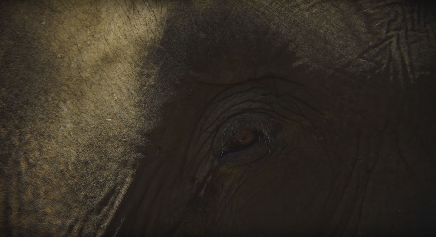 SWFP3 - Knowledge Exchange - Oscar Salemink and Nguyễn Phương Linh swfp3-knowledge-exchange-oscar-salemink-and-nguyen-phuong-linh-2