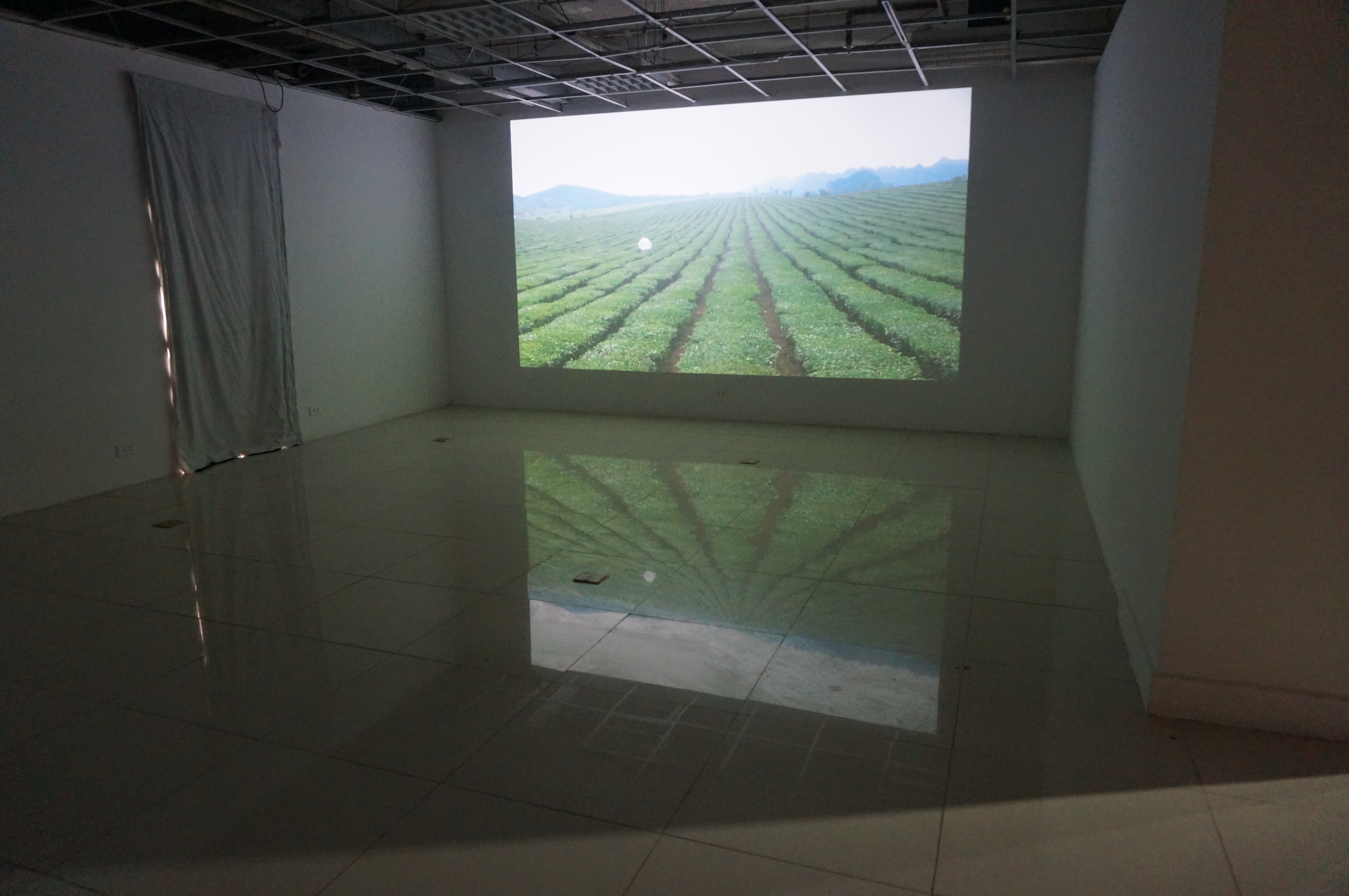 Video ( "Blowing while walking" - Nguyễn Đình Phương )