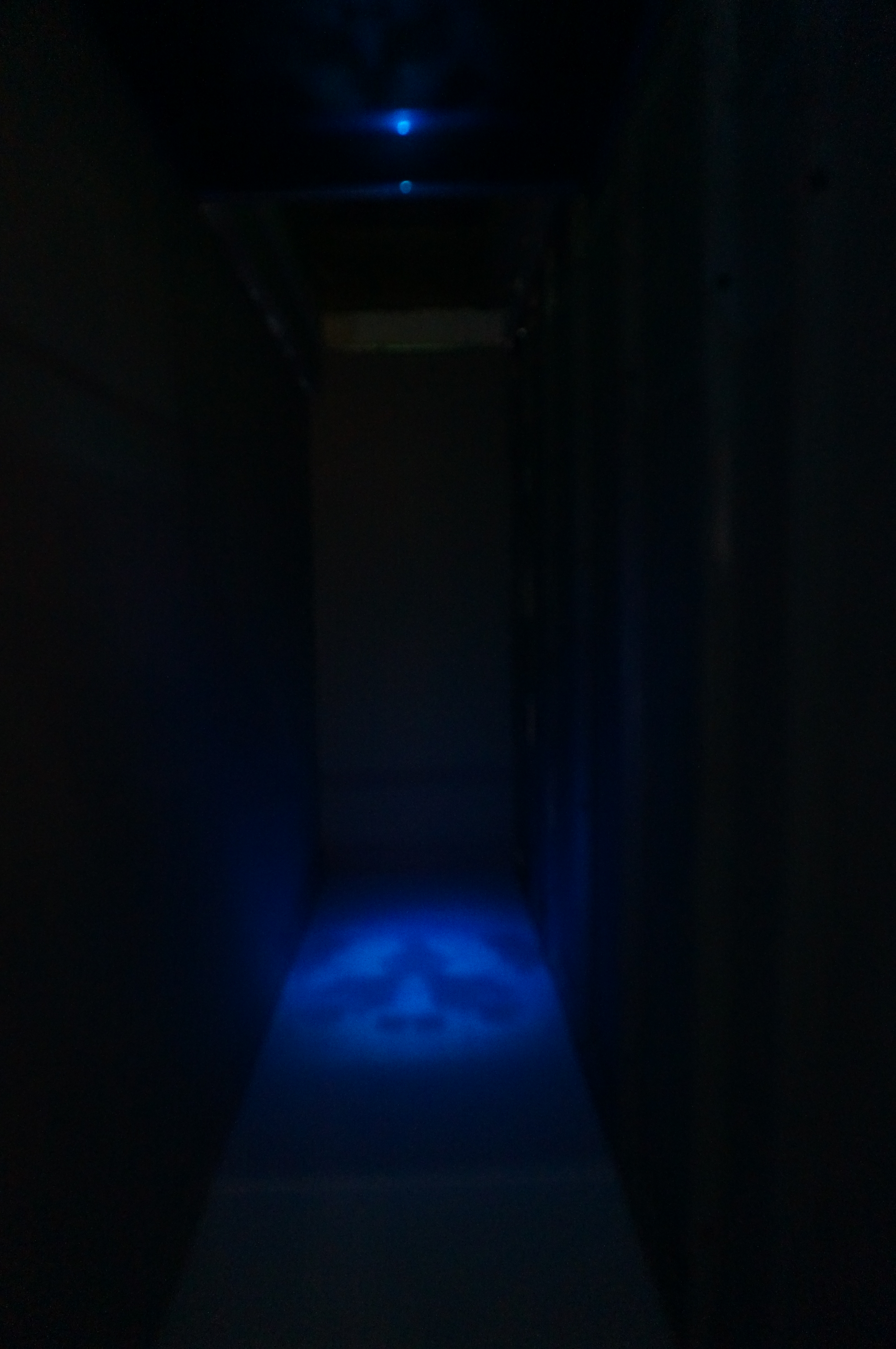 Sleep Walking ( Linh Cam )